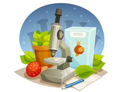 Updated NEET Biology Syllabus